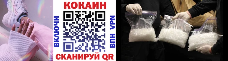 Cocaine FishScale  Купить закладки  Нолинск 