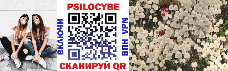 Купить где  Нолинск  Псилоцибиновые грибы мицелий 